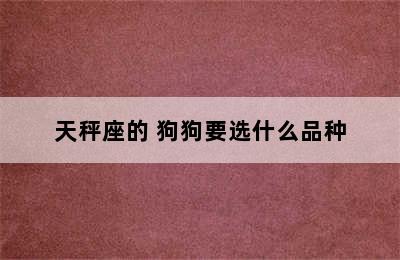 天秤座的 狗狗要选什么品种